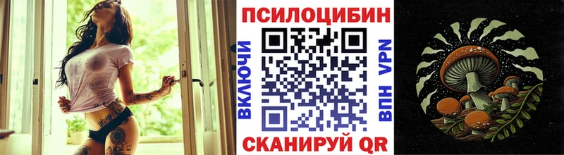 закладка  Куртамыш  Псилоцибиновые грибы ЛСД 